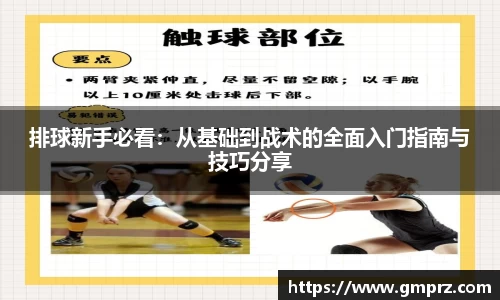 排球新手必看：从基础到战术的全面入门指南与技巧分享