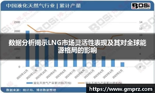 数据分析揭示LNG市场灵活性表现及其对全球能源格局的影响