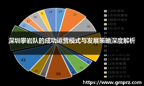 深圳攀岩队的成功运营模式与发展策略深度解析